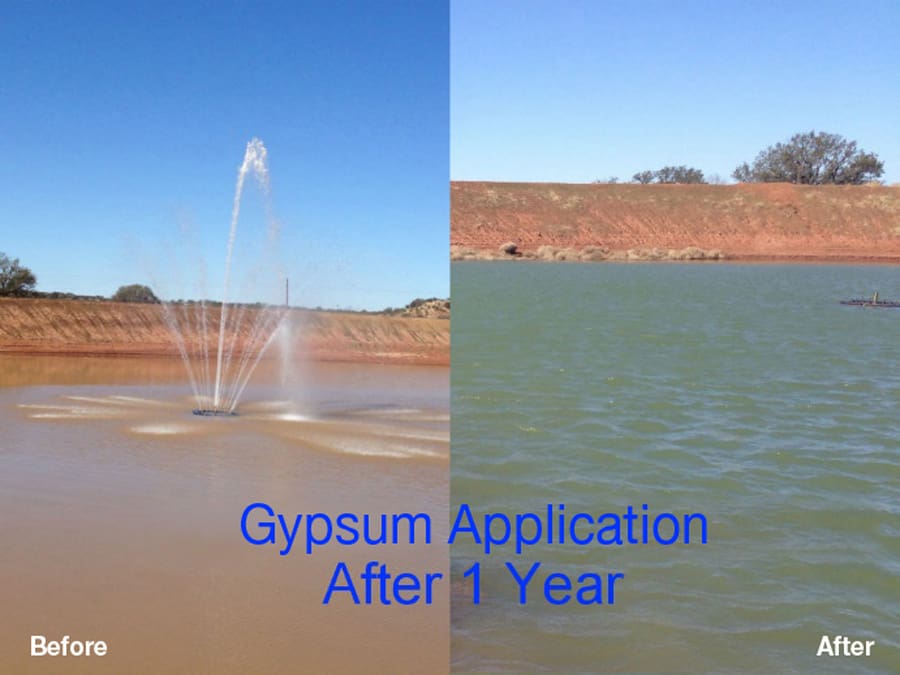 Water Clarification
